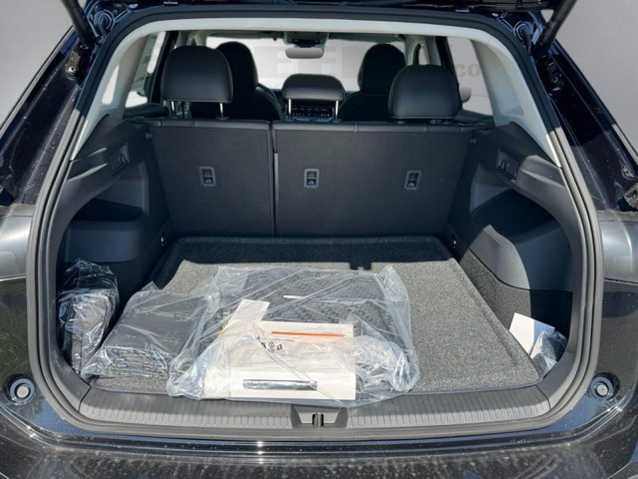 2026 Volkswagen Tiguan 2.0T SE Springfield VA