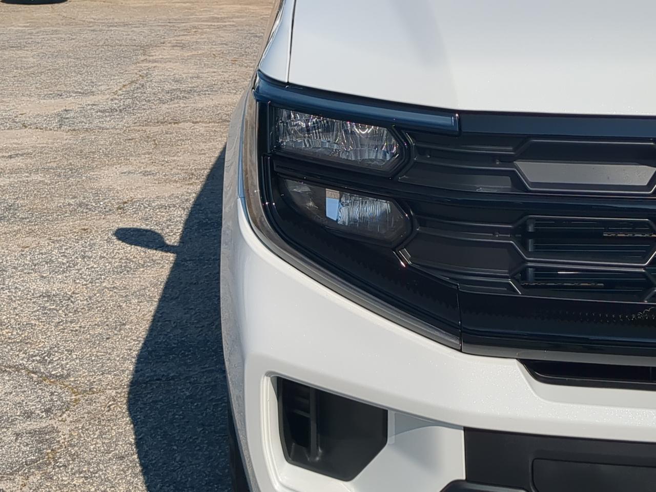 2027 Ford Expedition Active Appleton WI