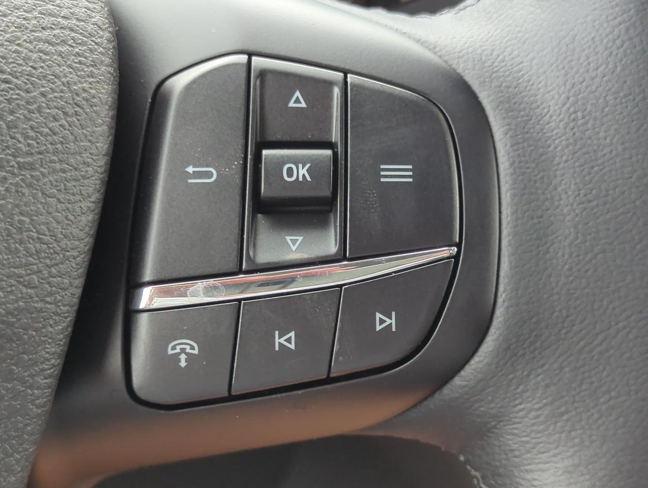 2027 Ford Transit Passenger Wagon XLT Appleton WI