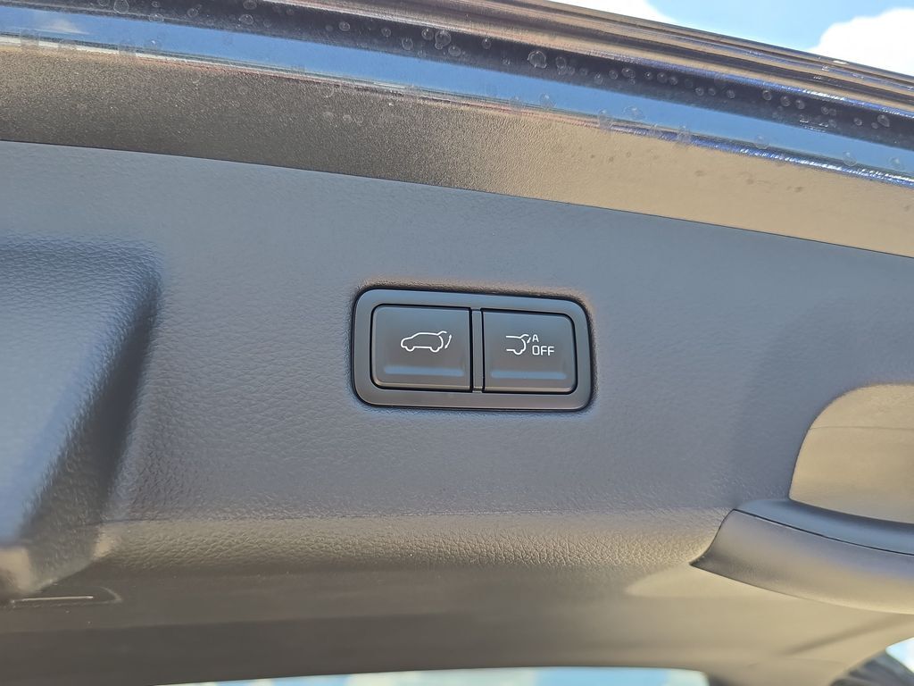2027 Kia Carnival EX San Clemente CA