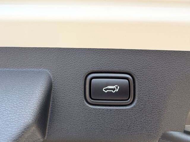 2027 Kia Sportage X-Line Cape Girardeau MO